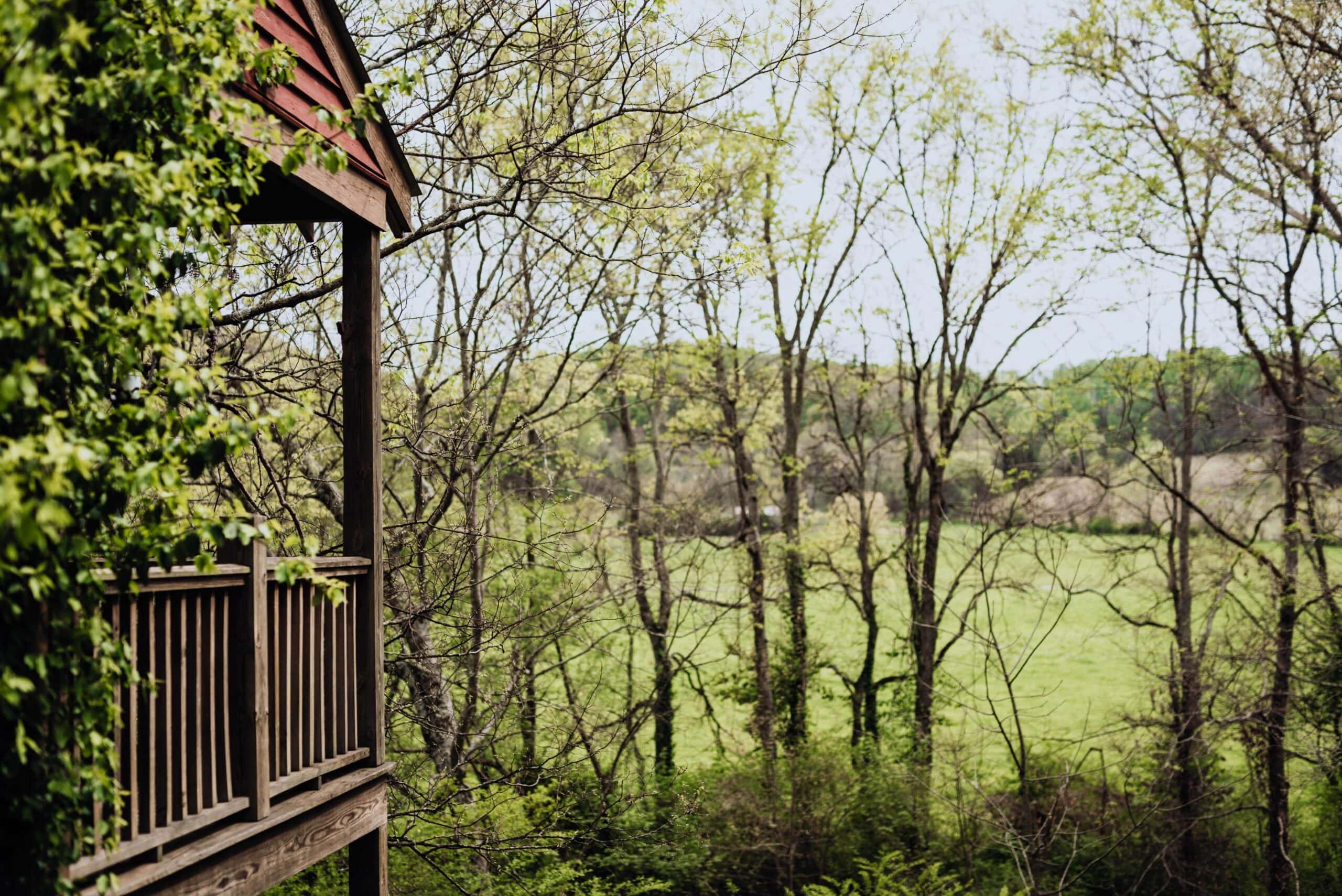 You Must Do These 7 Things in Leiper's Fork, Tennessee This Spring 